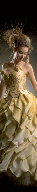 Petali D’oro Dress